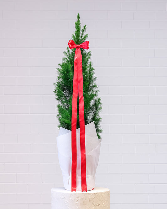 Large Christmas Tree