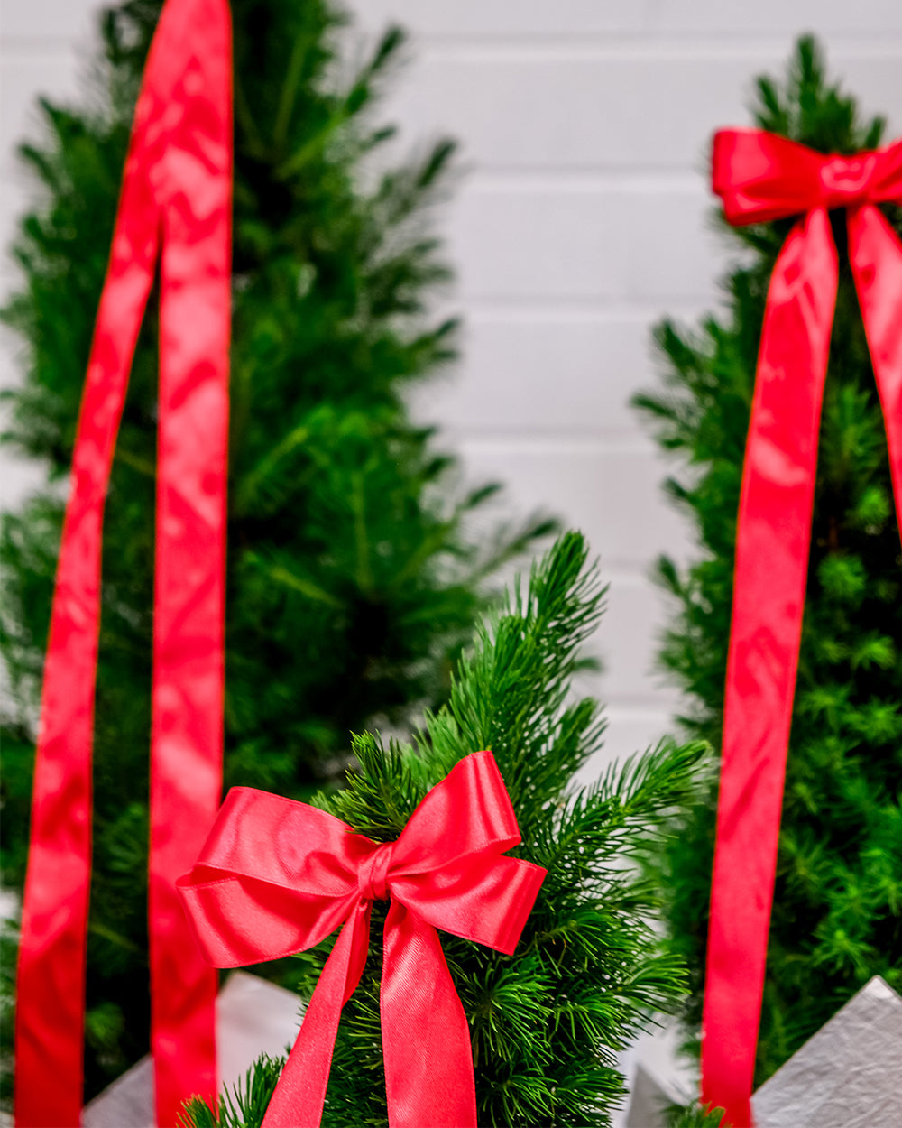 Large Christmas Tree