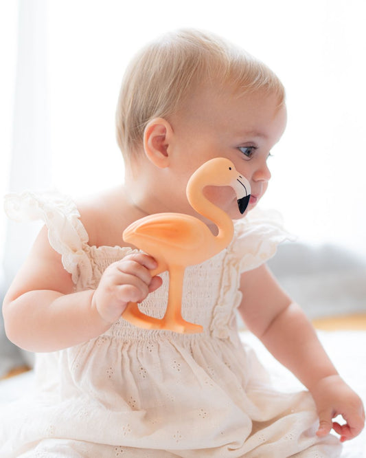 Lingo the Flamingo Teether