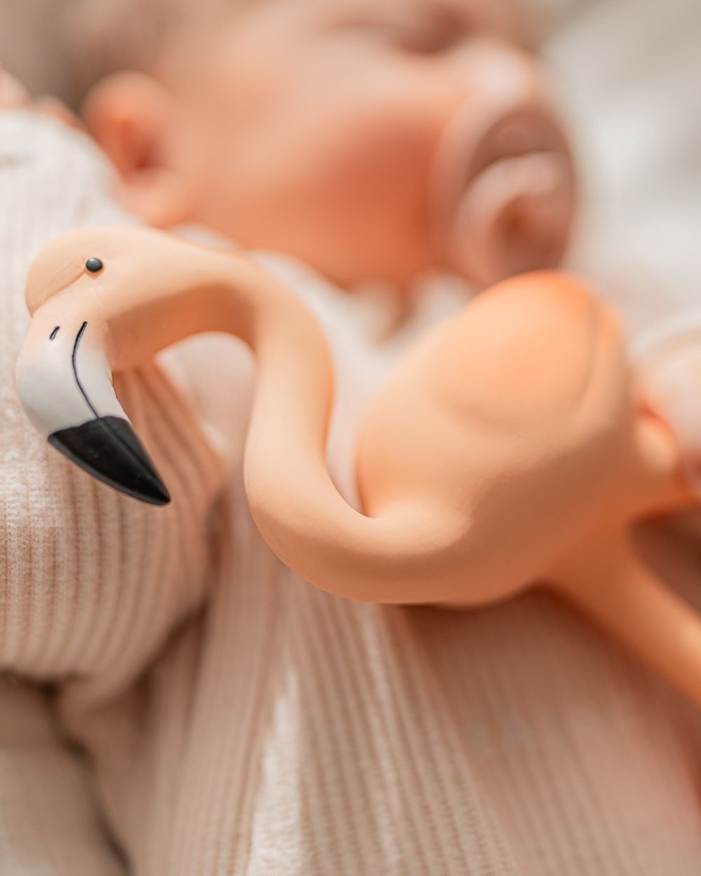 Lingo the Flamingo