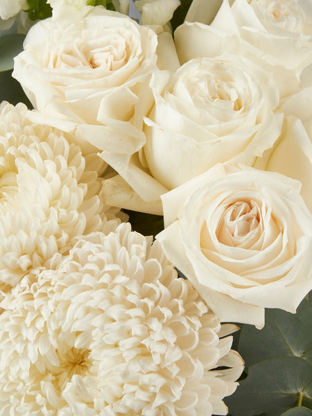Lucerne Bouquet Flower Delivery Australia-Fig & Bloom