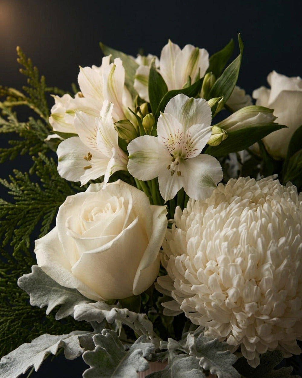Monaco Arrangement White (Regular)