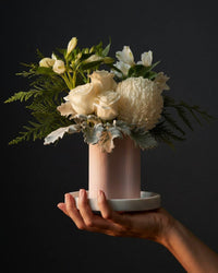 Monaco Arrangement White (Regular)
