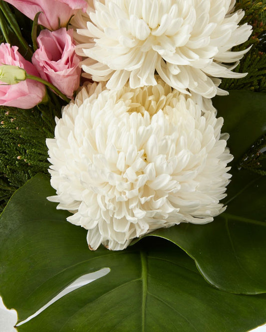 Flower delivery to Montmorency - Florist Fig & Bloom Flower delivery to Montmorency - Florist Fig & Bloom