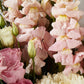 Monaco Bouquet Pink