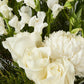 Monaco Bouquet White