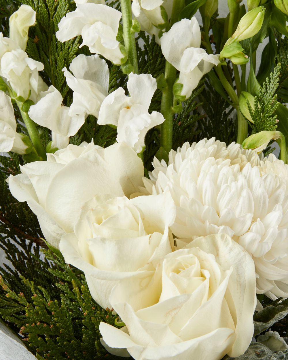 Monaco Bouquet White