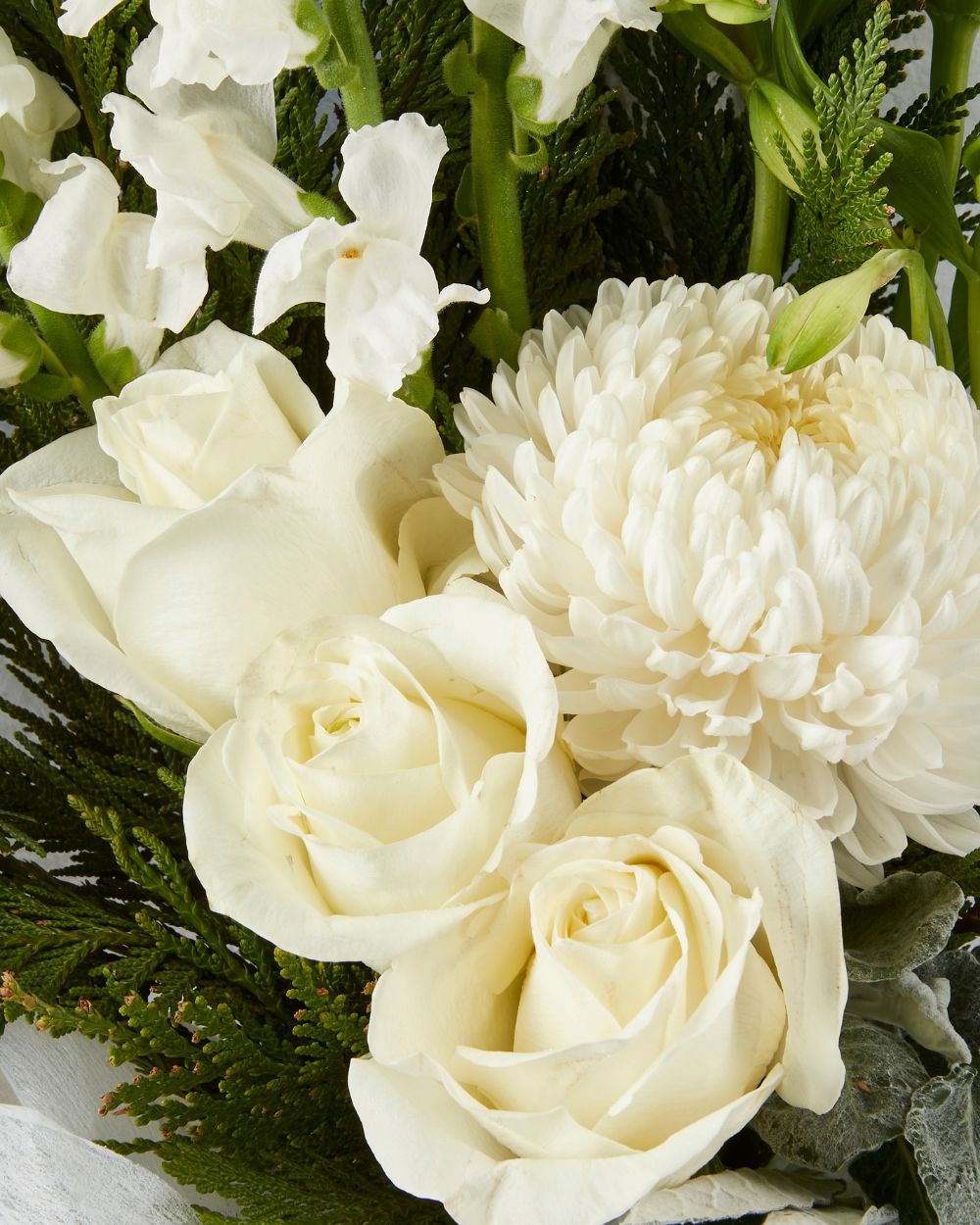 Monaco Bouquet White