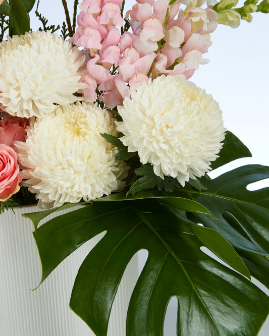 Monaco Arrangement Pink (Extra Large)