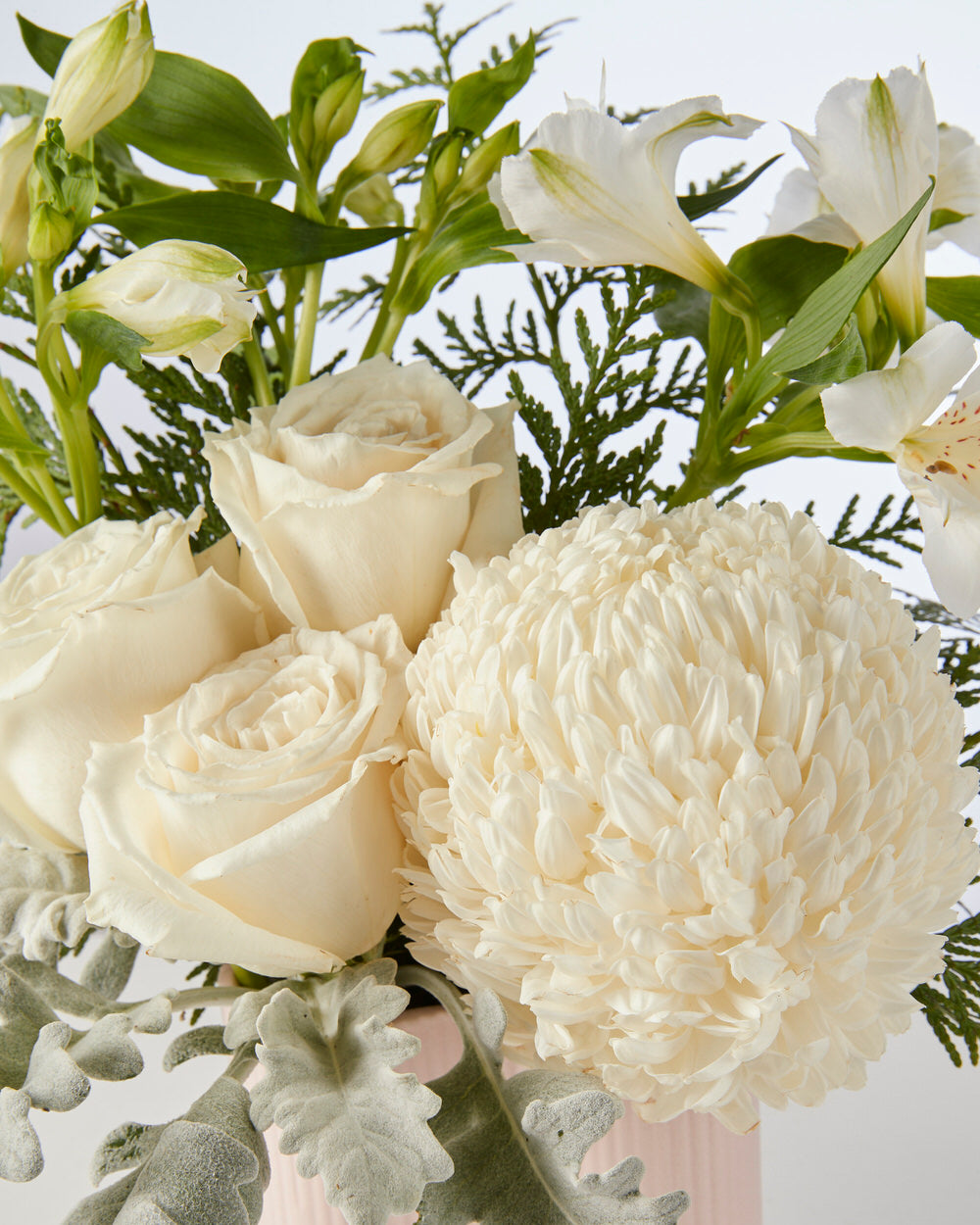 Monaco Arrangement White (Regular) - Fig & Bloom