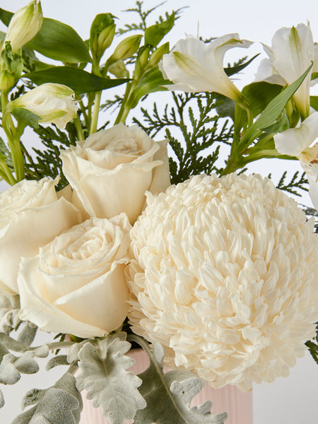 Monaco Arrangement White (Regular) - Fig & Bloom