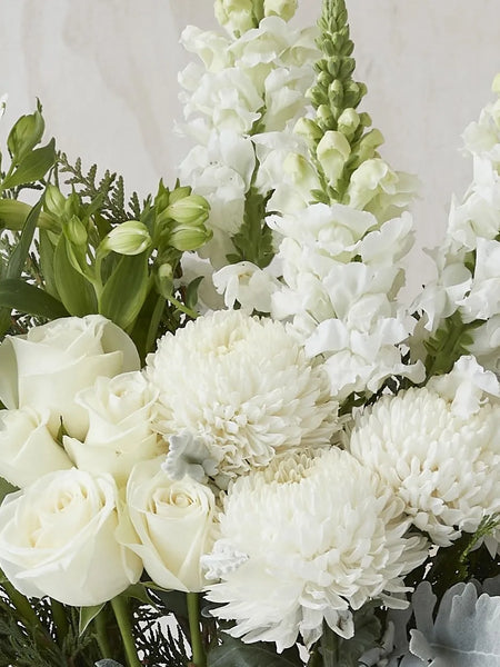 Monaco Arrangement White (Extra Large)
