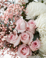 Osaka + Vase  - Fig & Bloom