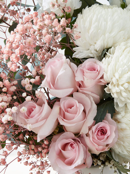 Osaka + Vase  - Fig & Bloom