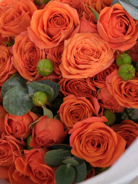 Palermo Spray Roses