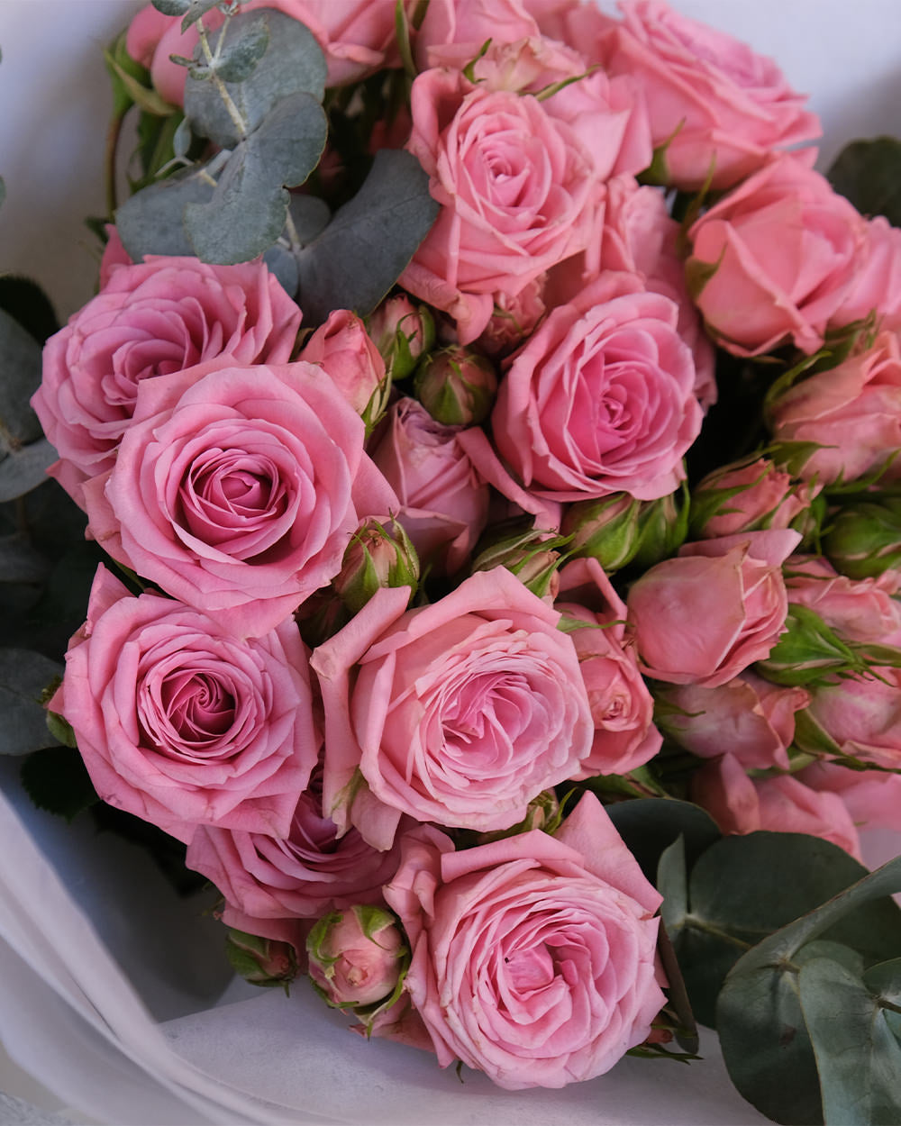 Palermo Spray Roses