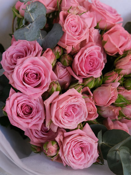 Palermo Spray Roses