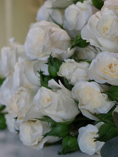 Palermo Spray Roses