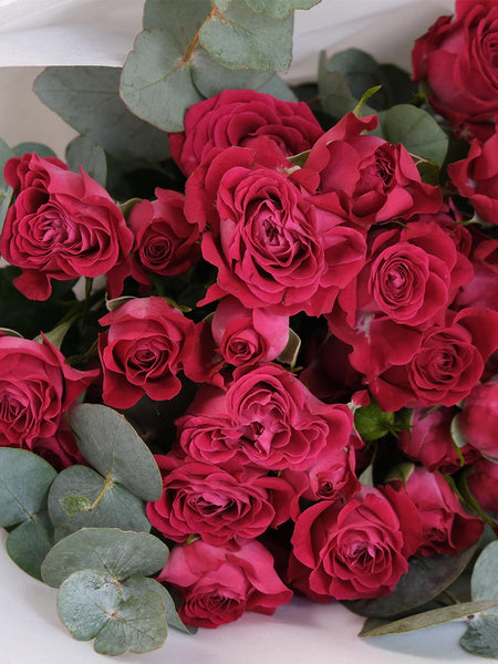 Palermo Spray Roses