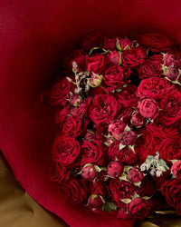 Lunar Blooms