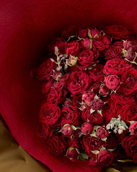 Lunar Blooms