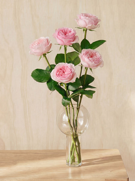 Pink Roses in Balloon Glass Vase