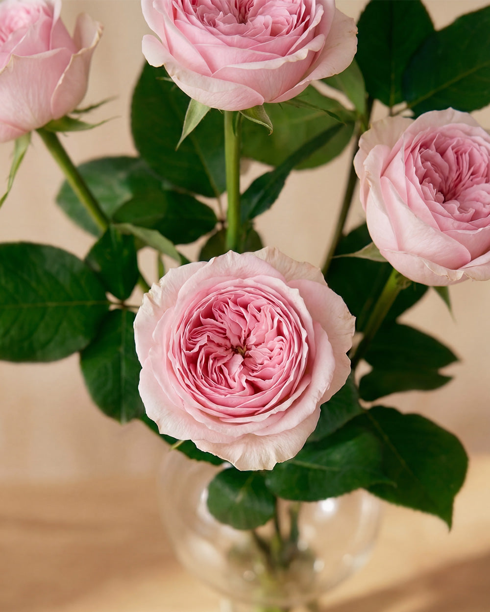 Pink Roses in Balloon Glass Vase