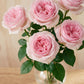 Pink Roses in Balloon Glass Vase