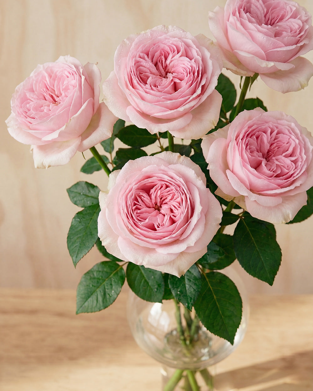 Pink Roses in Balloon Glass Vase