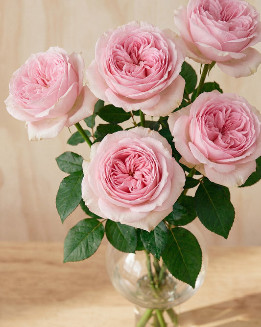 Pink Roses in Balloon Glass Vase