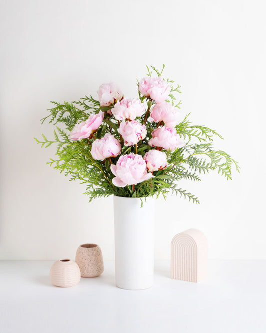 Peony Rose Sarah Bernhardt