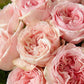 Pink Rose Bouquet