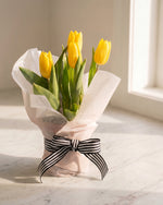 Potted Tulip - Yellow