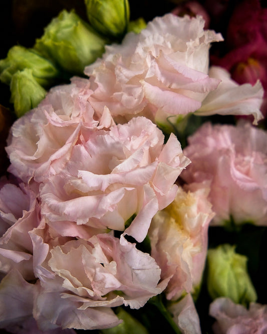 Prague Bouquet