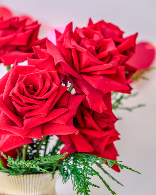 Red Roses in Gold Vase