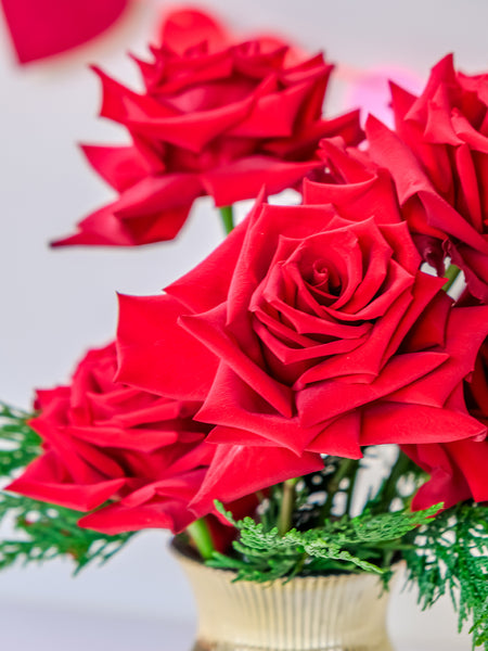 Red Roses in Gold Vase