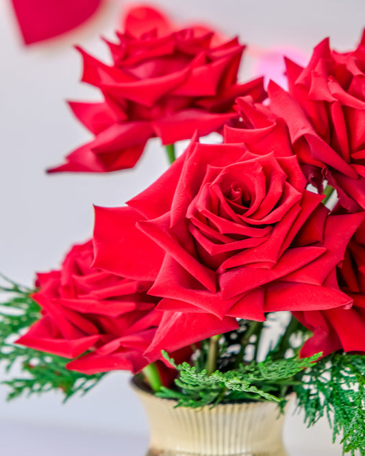 Red Roses in Gold Vase