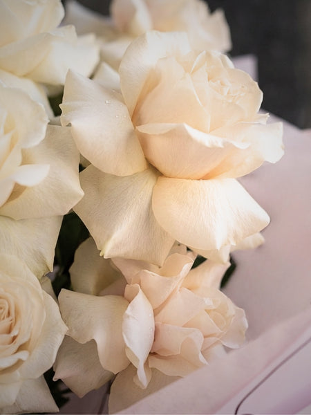 White Roses - Reflexed