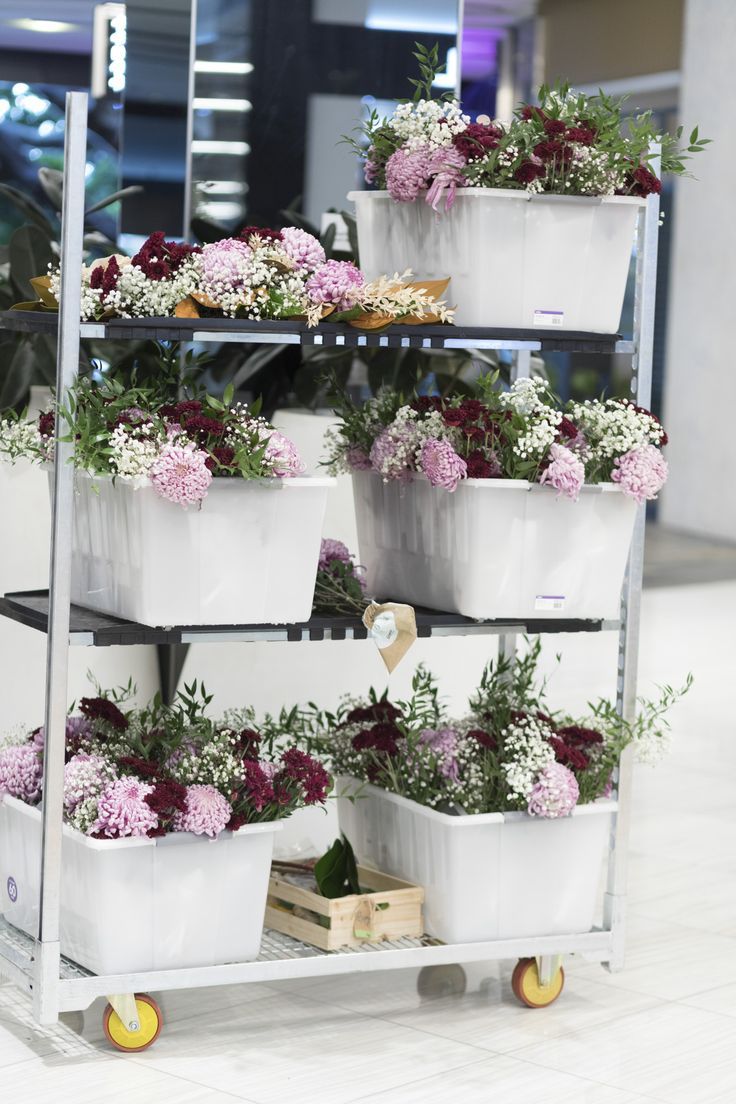 Retail Promotion for Mimco