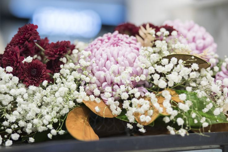 Retail Promotion for Mimco