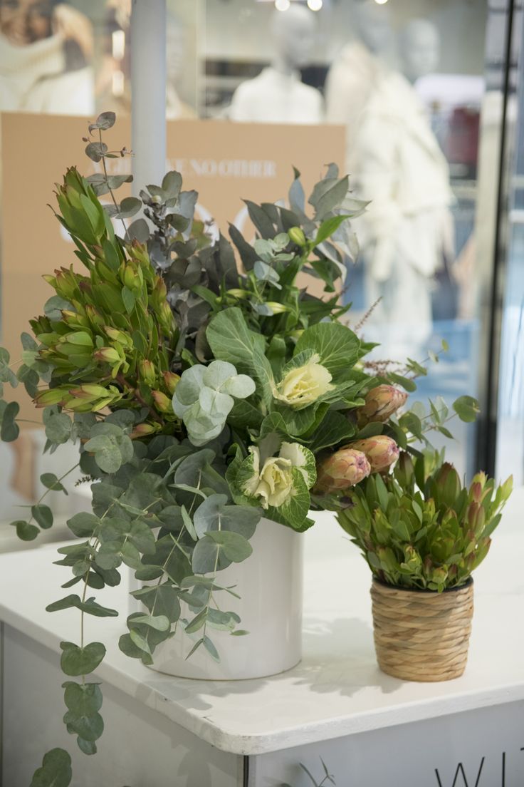Retail Promotion for Witchery