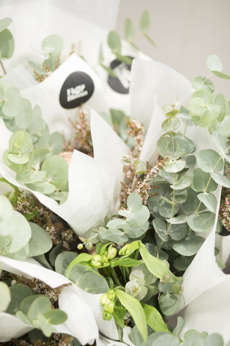 Retail Promotion for Witchery