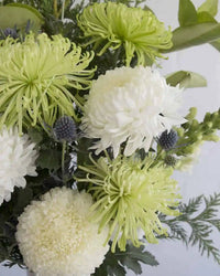 Savoie + Vase