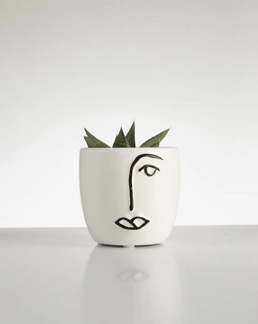 Succulent “Haworthoria” in Face Pot (60mm)