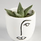 Succulent “Haworthoria” in Face Pot (60mm)