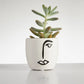 Succulent “Pachyphytum” in Face Pot (60mm)