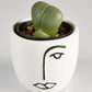 Succulent “Split Rock” in Face Pot (60mm)