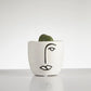 Succulent “Split Rock” in Face Pot (60mm)