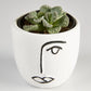 Succulent “Titanopsis” in Face Pot (60mm)
