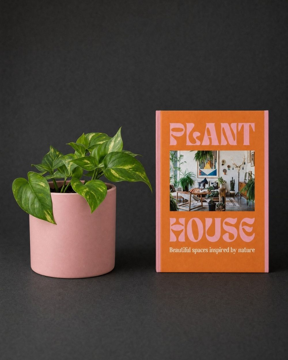 The Plant Parent